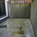 WhatsApp Image 2026-03-08 at 4.26.40 PM (1)