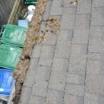 WhatsApp Image 2026-03-08 at 4.42.25 PM