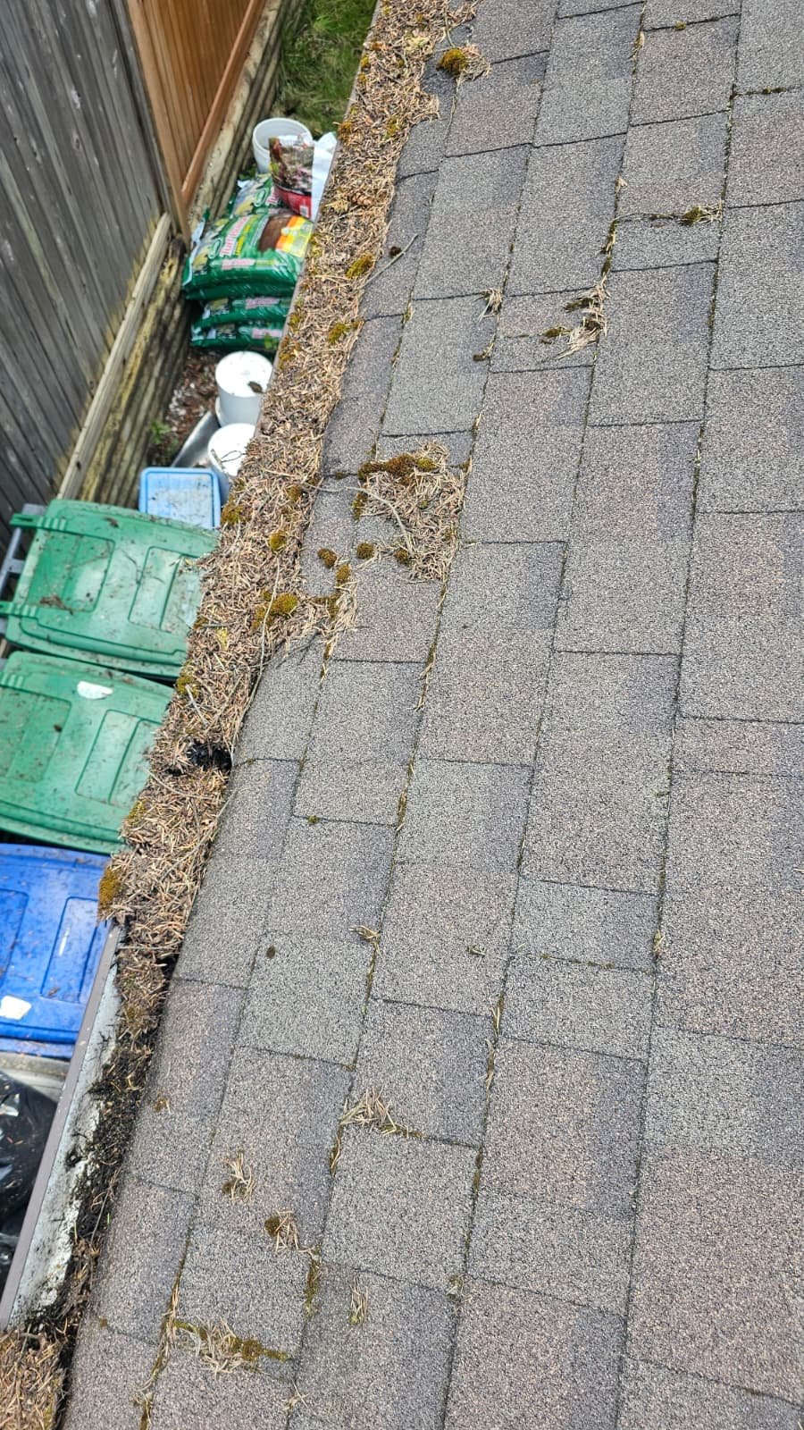 WhatsApp Image 2026-03-08 at 4.42.25 PM WhatsApp Image 2026-03-08 at 4.42.25 PM