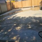 WhatsApp Image 2026-03-08 at 4.42.26 PM (1)