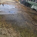 WhatsApp Image 2026-03-08 at 4.42.26 PM